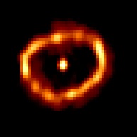La supernova  nella costellazione del Cigno. 